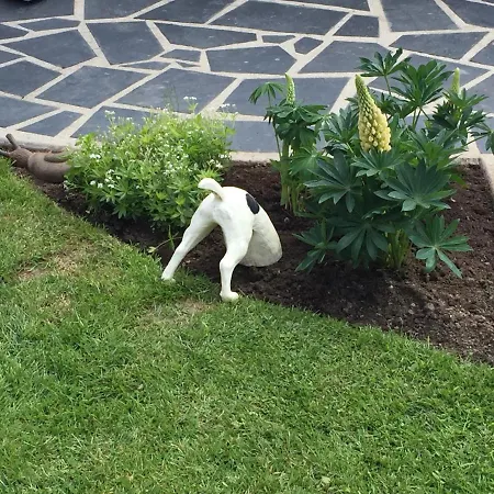 Les De Paule Frühstückspension Thieulloy-l'Abbaye