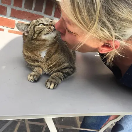 Les De Paule Thieulloy-l'Abbaye
