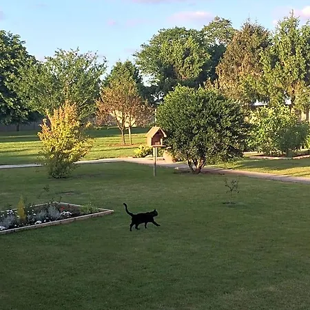 B&B Les De Paule Thieulloy-l'Abbaye